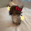 its_lilly.__