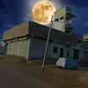 naserahmedani