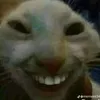 usermono0