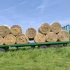 gruener_juergen