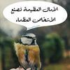 aamaltouhan