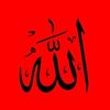 abushama13760