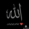 muhammedaly_33