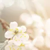 summersoul88