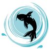 Black Koi Water Features