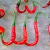 halima3907