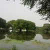 user92175714944560