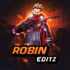 its_robin_0.3