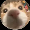 qbaoo10_16
