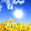 welcome_to_ukraine79