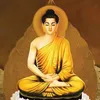 user8112992031437
