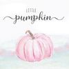 littlepumpkinsmy