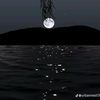 haider.jutt6495