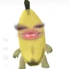 ptnnhi1402