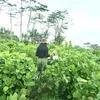 nandaaaadisini