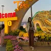 tuyduyen269