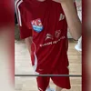 mel_ina09