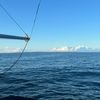 felixlovestheocean
