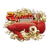 24 RED AROWANA