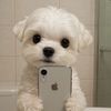 namthip.zx4
