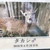takashi66358