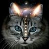 patricia_zamve