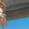 eu_bruno06