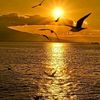 abeed094