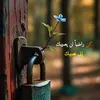 zyn_hm