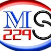 ms229businness