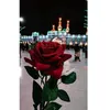 abihasheikh53