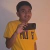alfredo_pluhsauc