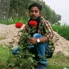 mdj063974