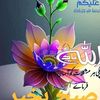 shakoor8319