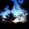 phduy_007