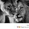 user34466730770828