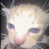 adueiu123