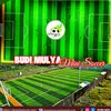 bm_minisoccer