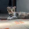 minhduyyy20
