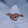snou