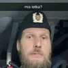 palsfi