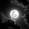 user43q1y9iqnz