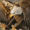 user1626178411256