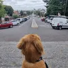 juankaamador6