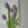 yanet_5612