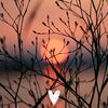 _fairy__56