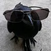your_favorite_bird