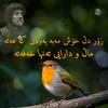 uservfi12yyfam