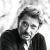 fan de Johnny Hallyday