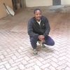mutush48